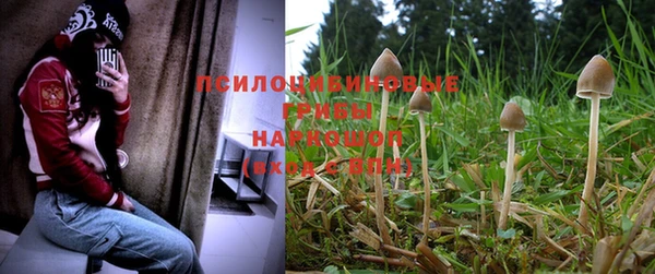 прущая мука Липки