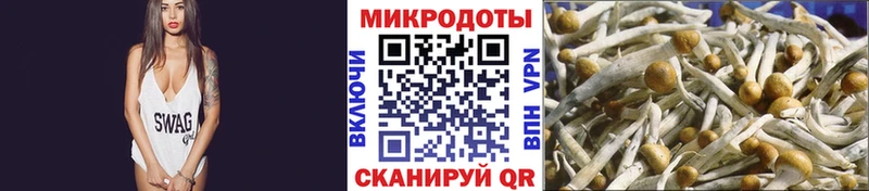 Купить где  Владимир  Псилоцибиновые грибы Magic Shrooms 